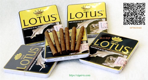 CIGAR - LOTUS No1 (Hộp 5 Điếu)