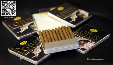 CIGAR LOTUS MINI No2 (HỘP 10 ĐIẾU)