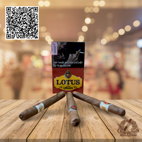 CIGAR - LOTUS SHORT (Hộp 10 điếu)