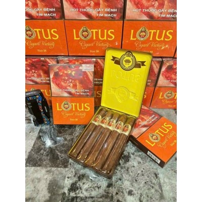 CIGAR LOTUS VICTORY (HỘP 5 ĐIẾU)