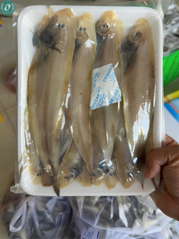 Khô Cá Lưỡi Trâu