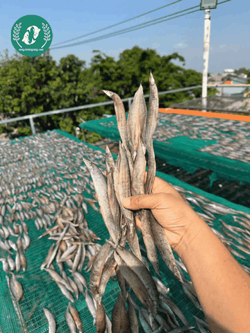 Khô Chạch Lỡ 2 Nắng – Thịt Dẻo Ngọt, Đậm Đà Vị Miền Tây
