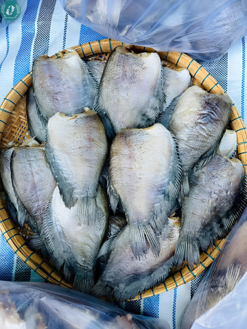 Khô Cá Sặc Bổi (Thái)