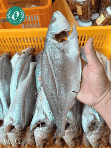 Khô Cá Sửu – Đặc Sản Mặn Mà, Mềm Bùi Của Vùng Châu Đốc
