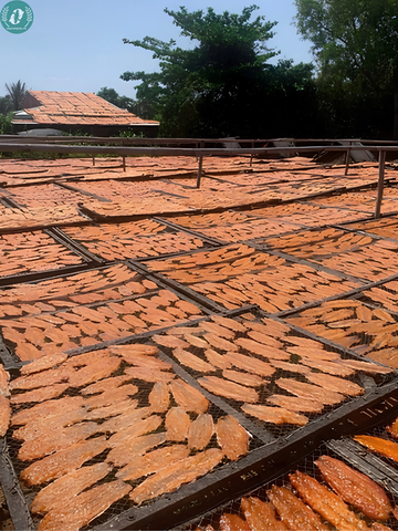 Khô Cá Mối Xốp Không Xương