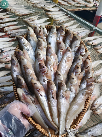 Khô Cá Chèn