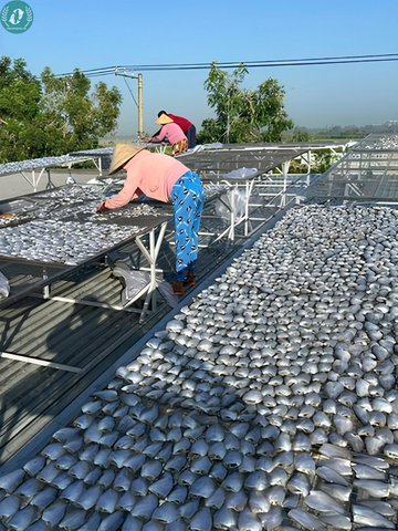 Khô Cá Sặc Đồng