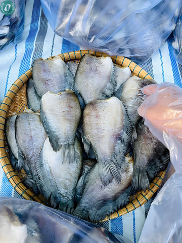Khô Cá Sặc Bổi