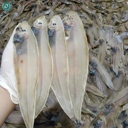 Khô Cá Lưỡi Trâu