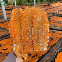 Khô Cá Mối Xốp Không Xương
