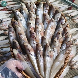 Khô Cá Chèn