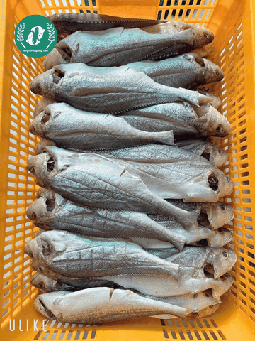 Khô Cá Sửu – Đặc Sản Mặn Mà, Mềm Bùi Của Vùng Châu Đốc