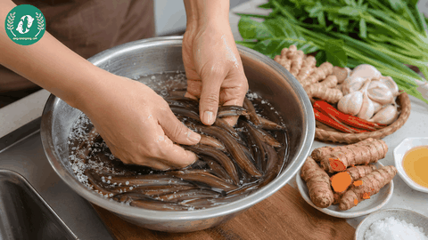 Chạch Đồng Nguyên Con – Đặc Sản Dân Dã, Thịt Ngọt Đậm Và Dễ Chế Biến