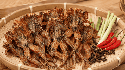 Khô Ếch Đồng Miền Tây – Cay Thơm, Giòn Dai Và Đậm Đà
