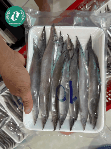 Chạch Đồng Nguyên Con – Đặc Sản Dân Dã, Thịt Ngọt Đậm Và Dễ Chế Biến