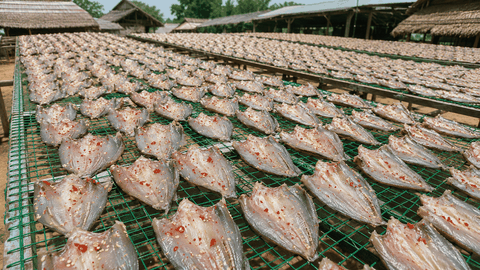 Khô Cá Lóc Miền Tây: Đặc Sản Dai Ngọt, Thơm Ngon, Dễ Chế Biến