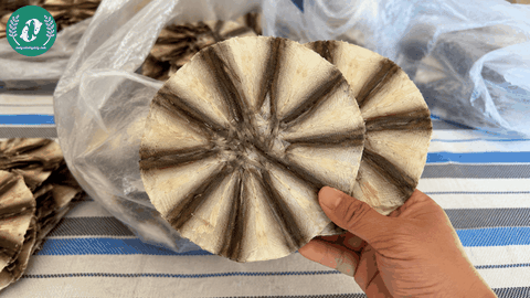 Khô Cá Linh Miền Tây – Đặc Sản Béo Bùi, Đậm Vị, Cực Kỳ Bắt Cơm