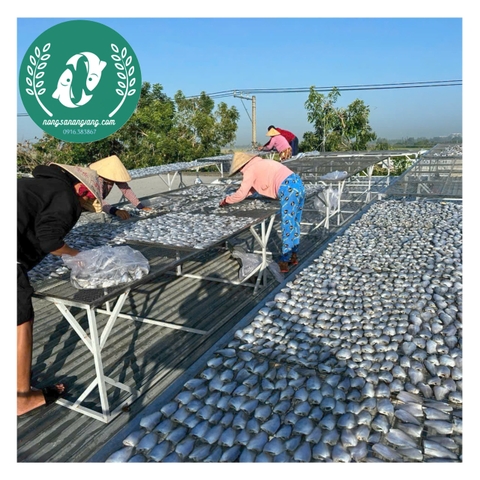 Khô cá sặc đồng
