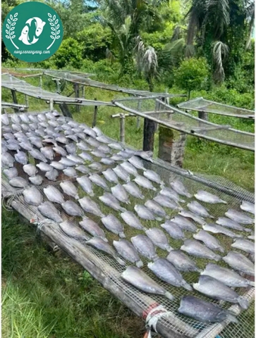Khô cá sặc bổi không đầu 2 nắng(Thái)