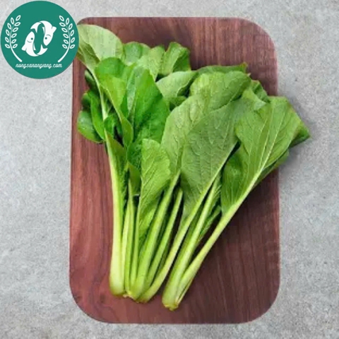 Hạt giống cải ngọt