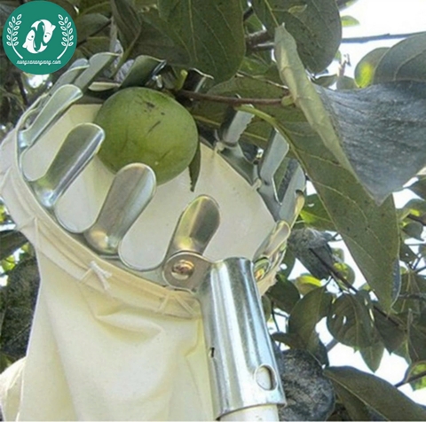 Dụng cụ hái trái 16m