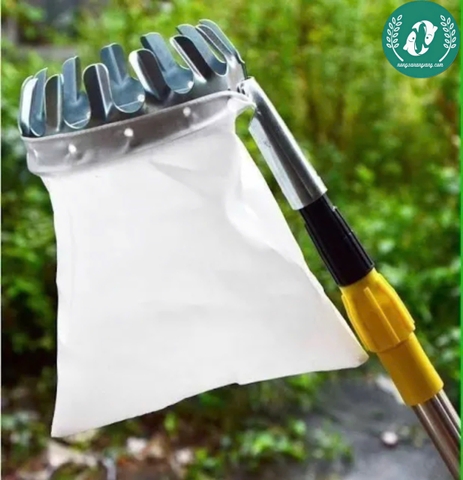 Dụng cụ hái trái 16m