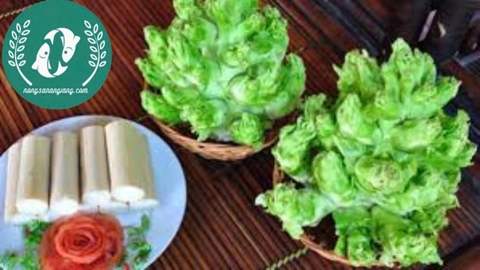 Hạt giống cải mầm đá