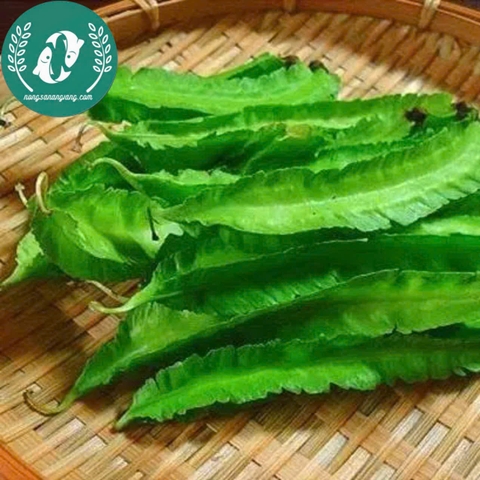 Hạt giống đậu rồng