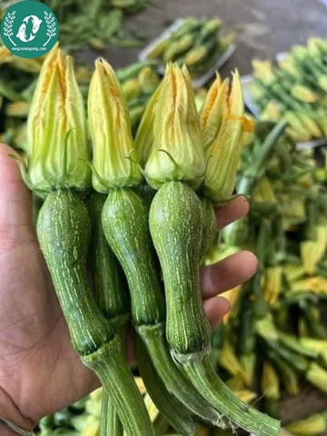 Hạt giống bí siêu nụ