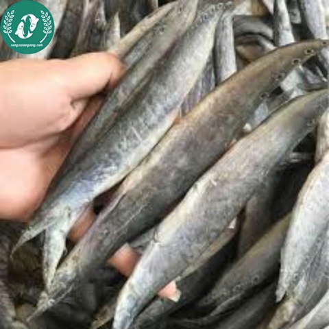Khô cá chạch đồng 2 nắng