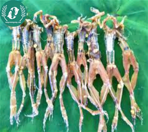Khô nháy (kiều nữ chân dài)