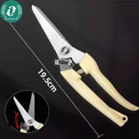 Kéo làm vườn cắt tỉa cành