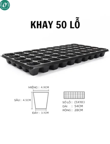 Khay ươm hạt giống