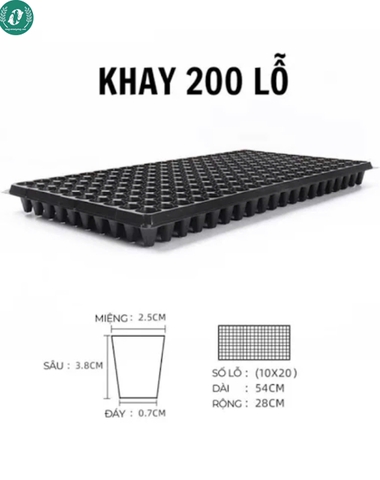 Khay ươm hạt giống