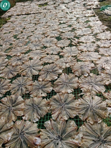 Khô cá chốt
