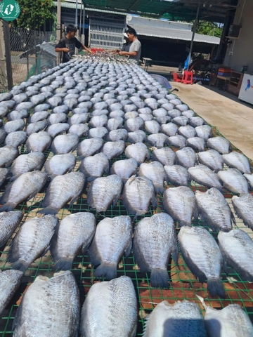 Khô cá sặc bổi không đầu 2 nắng(Thái)