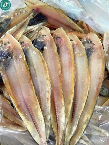 Khô cá lưỡi trâu 3 nắng