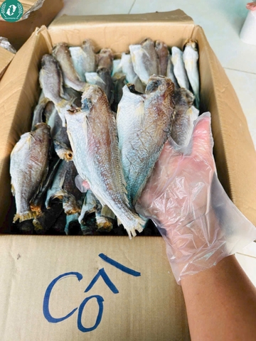 Khô cá đù 3 nắng