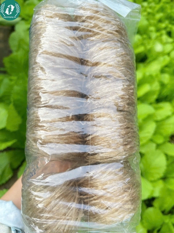 Miếng dong Phia Đén (Cao Bằng)