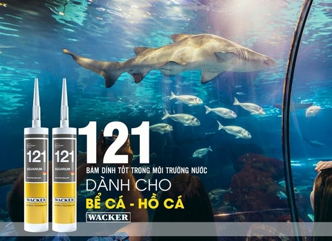 Giải Pháp Tối Ưu Cho Hồ Cá và Hồ Thủy Sinh Với Silicone Wacker 121