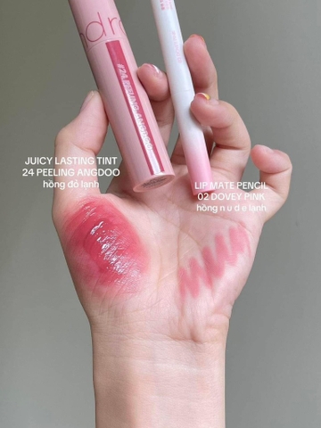 Son Romand juicy tint #24