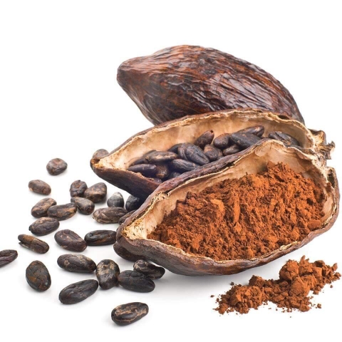 Ca Cao Nguyên Chất Đăk Lăk - hộp 500gr