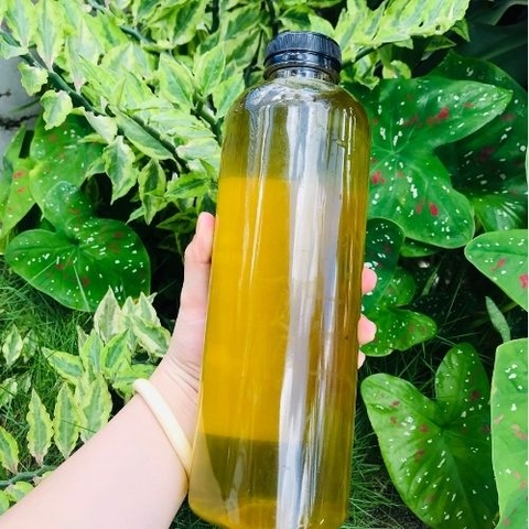 Mật Ong Hoa Bạc Hà