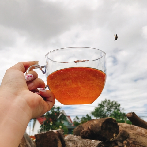 Mật Ong Hoa Cà Phê - Chai 1000ml