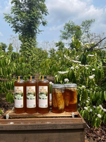 Mật Ong Hoa Cà Phê - Chai 1000ml