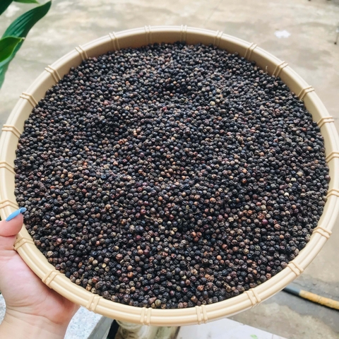 Tiêu Đen Siêu Cay Đăk Lăk - hộp 500gr