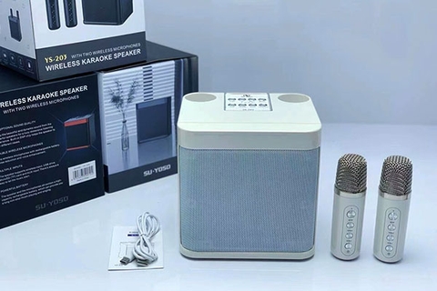 Nên mua loa hát karaoke của hãng nào? Cách chọn mua loa karaoke hay