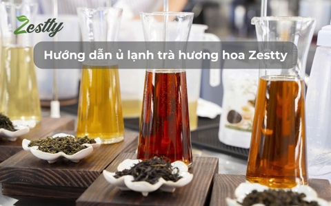 Hướng dẫn ủ lạnh trà hương hoa Zestty