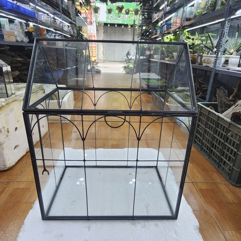 Bể Terrarium viền kim loại