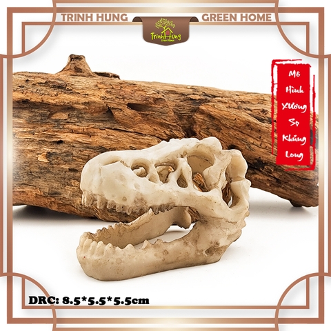 Mô hình sọ khủng long T-Rex